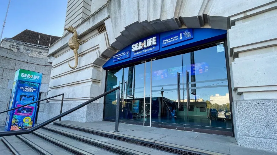 Advance Ticket: SEA LIFE London Aquarium &#8211; Entry Ticket - Image 1